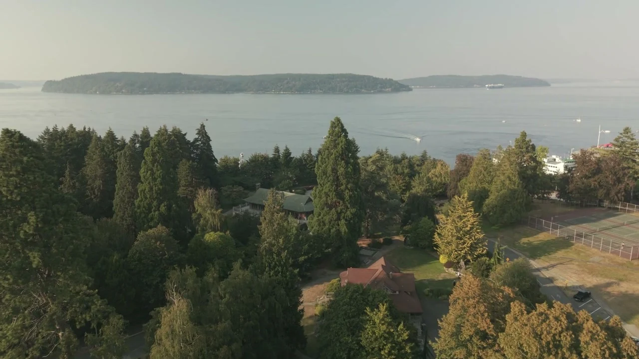 Coastal aerial view